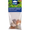 Sea shells L-koko