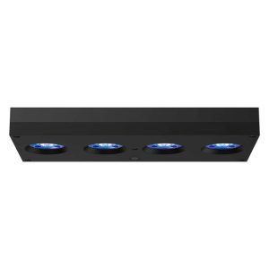 Hydra 64 HD LED – musta