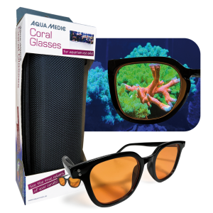 Coral glasses