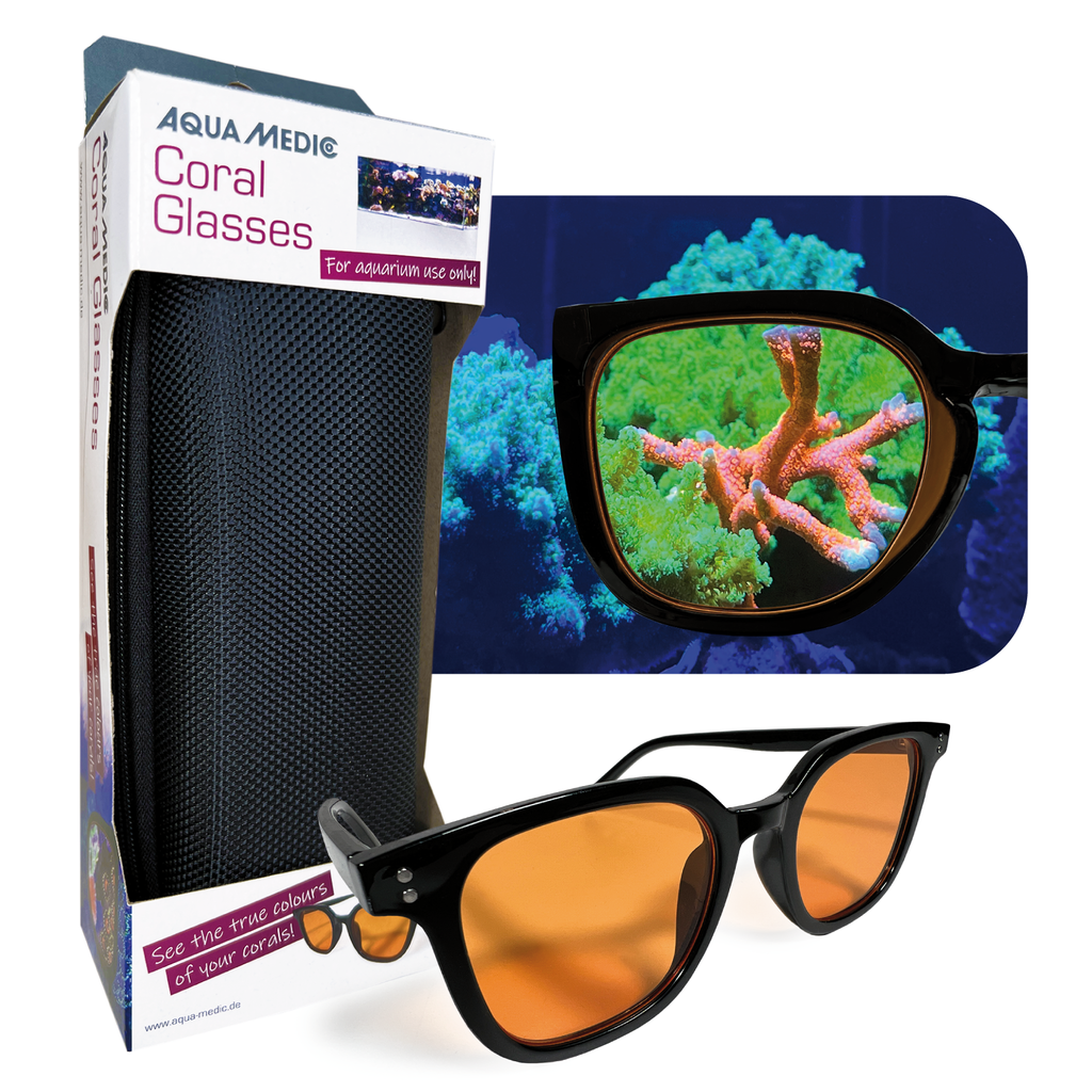 Coral glasses