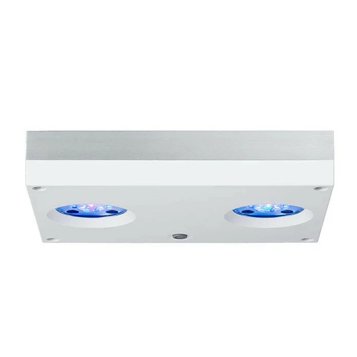 Hydra 32 HD LED – valkoinen/hopea