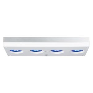 Hydra 64 HD LED – valkoinen/hopea