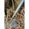 Pitkä pipetti 60cm