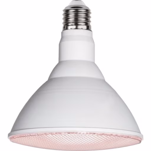 PAR38 LED 16W E27, punavioletti 1200lm